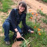 Corinne Pache picking orange tulips